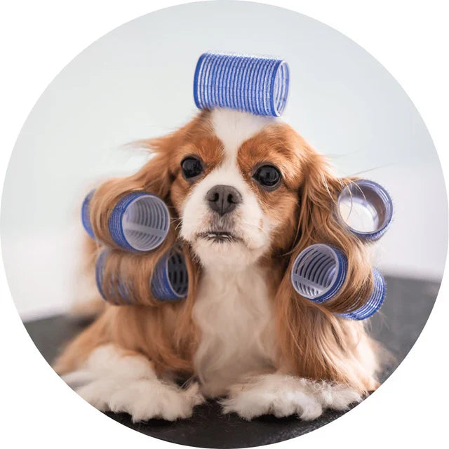 Grooming Shampoo