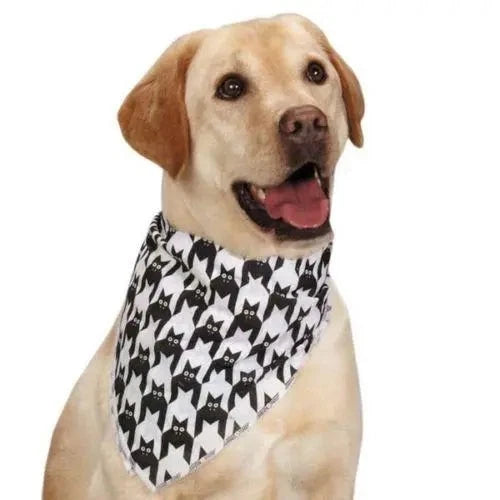 Piccardmeds4pets Keto-Itch Anti-Fungal Ear Flush for Dogs & Cats 12 oz. + FREE Bandana!