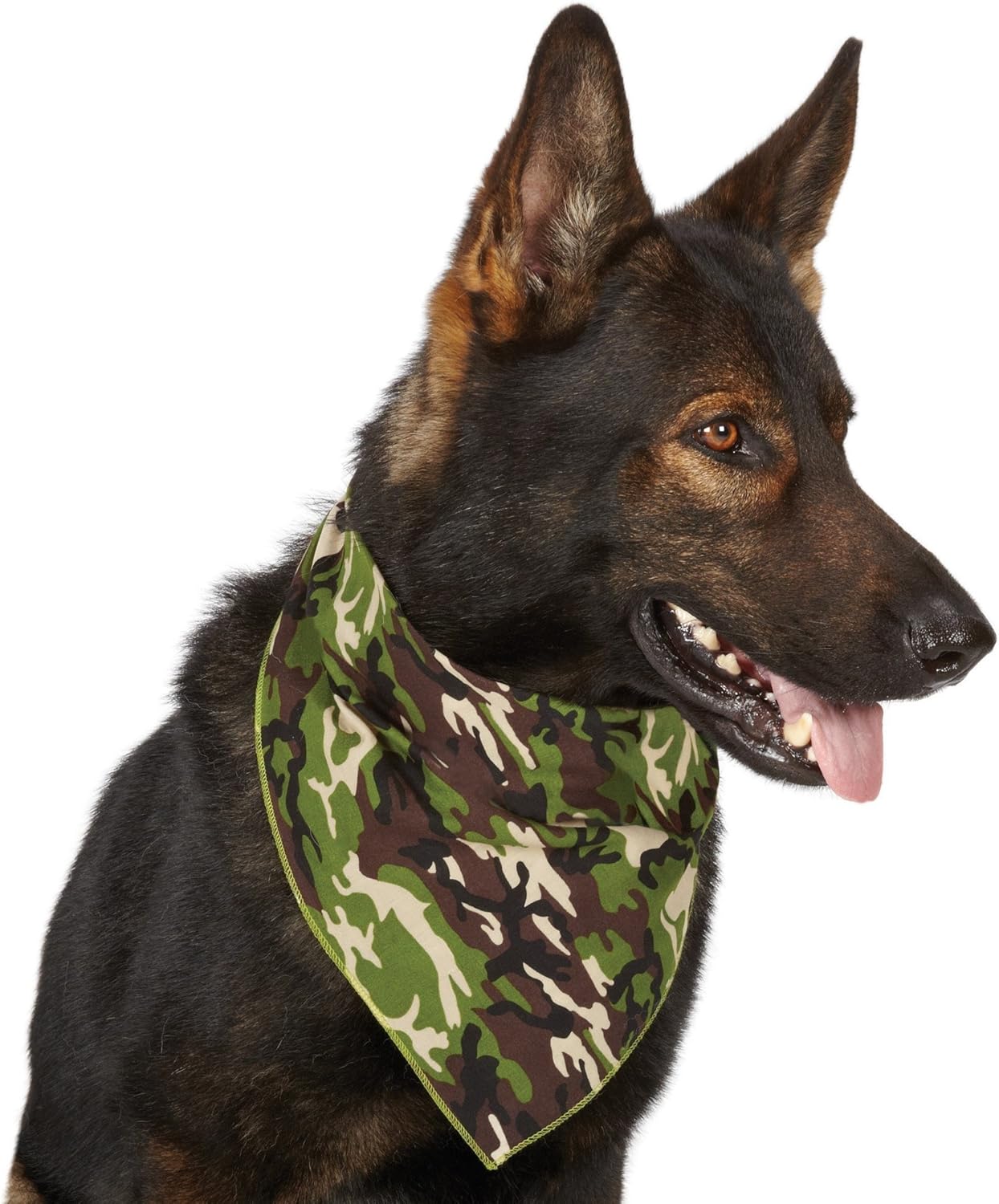 Piccardmeds4pets Derma-Itch Shampoo for Dogs 12 oz. + FREE Camo Bandana!