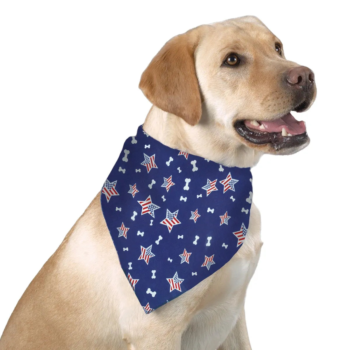 Piccardmeds4pets Fresh Dog Aloe and Oats Shinny Coat Shampoo 16 oz. + FREE Bandana!