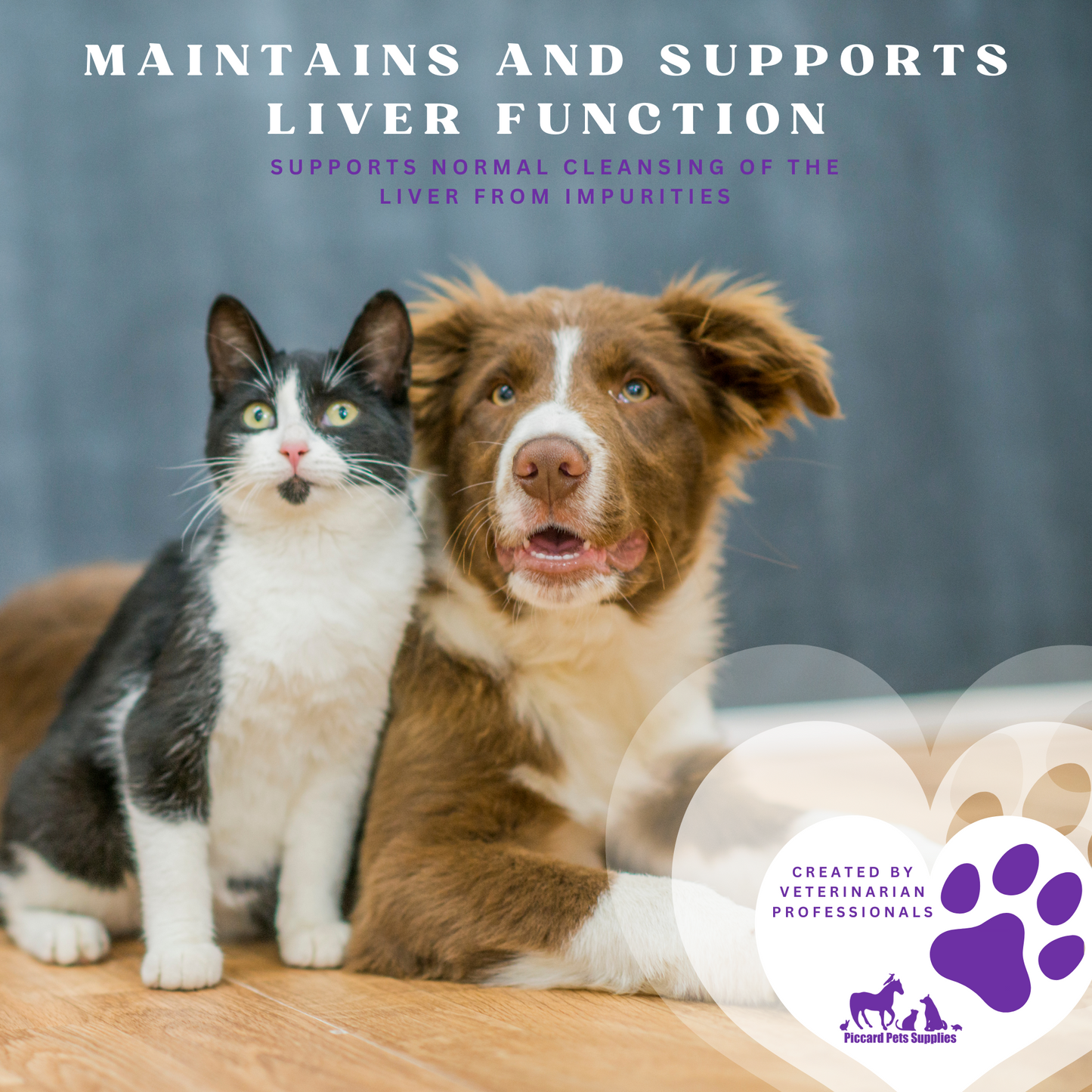 Piccardmeds4pets Denomax Same 225 for Dogs and Cats 30 Count + FREE Bandana!