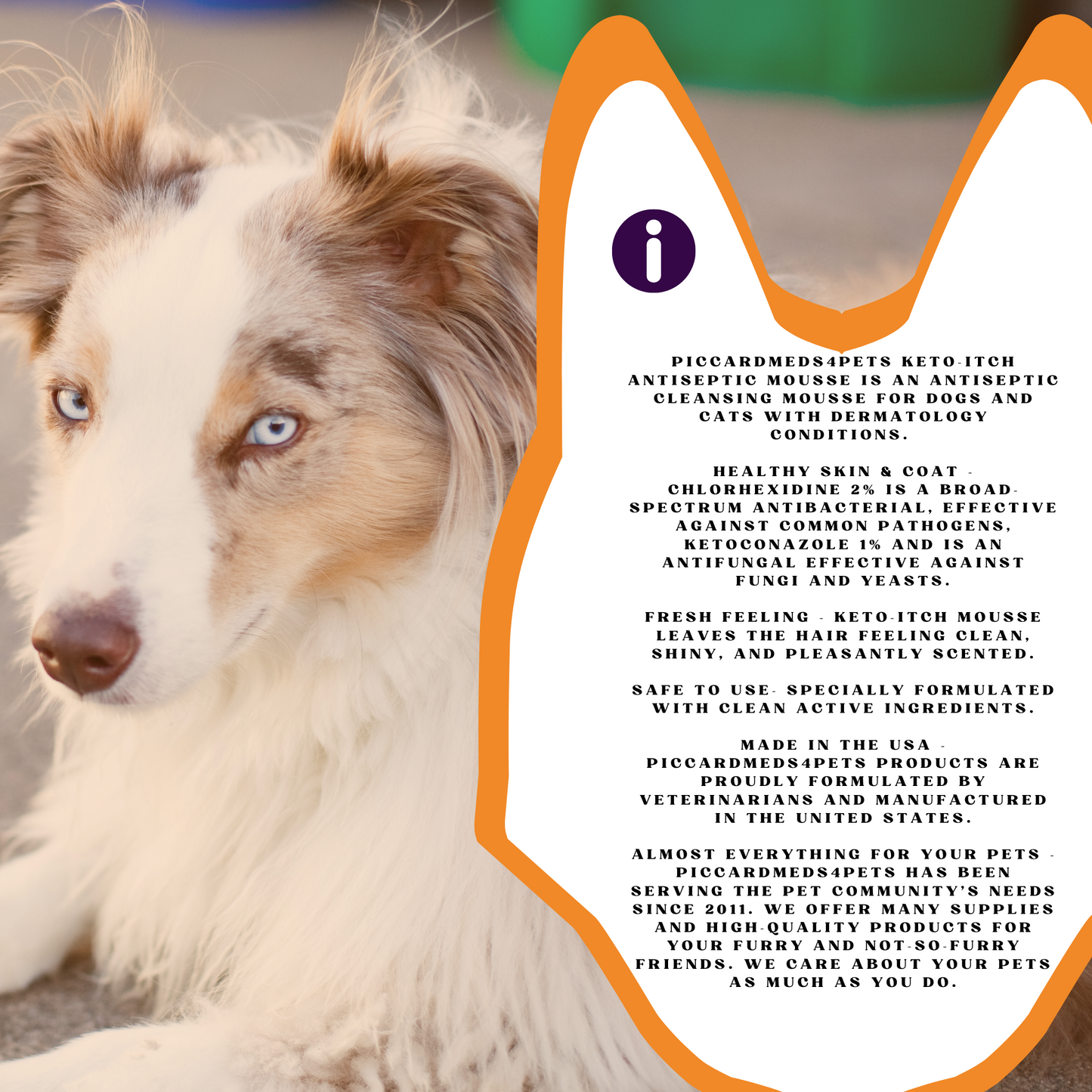 Dog with product information overlay on a white background