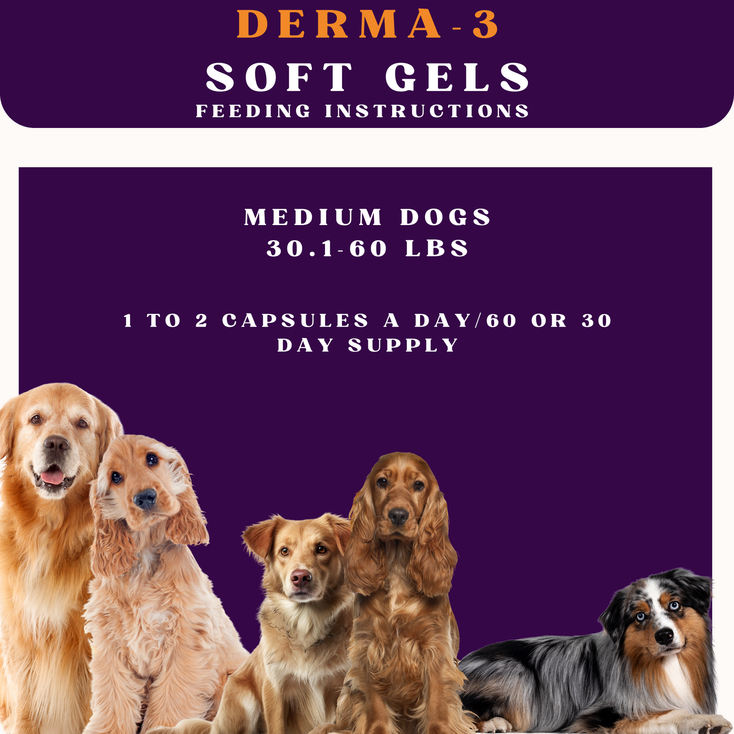Feeding instructions for Derma-3 soft gels on a purple background with images of dogs.