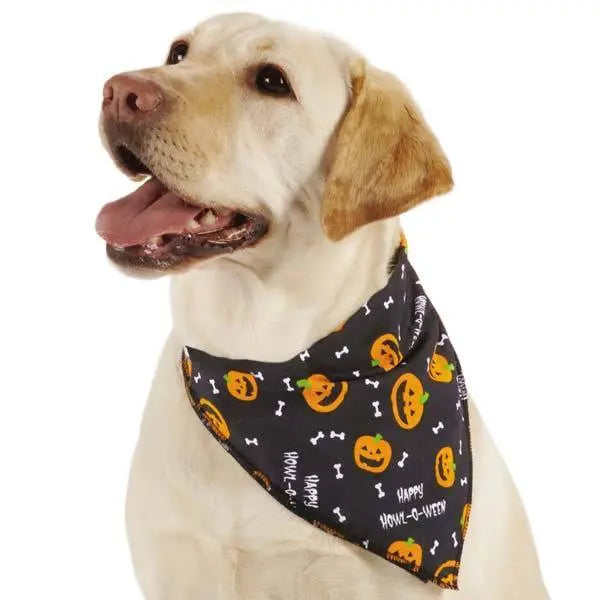 Piccardmeds4pets White-Stuff Coat Whitening Pet Shampoo 12 oz. + FREE Bandana!