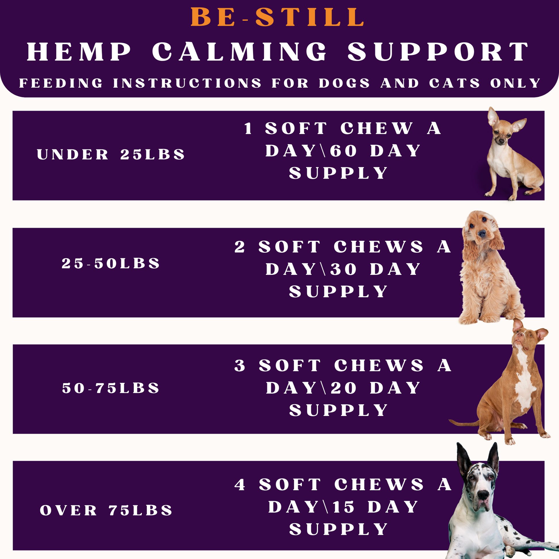 Feeding instructions for dogs and cats on a purple background with images of dogs.