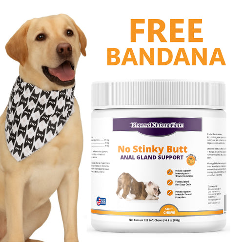 PiccardNaturePets No Stinky Butt Anal Gland Support 120ct Chews + FREE Bandana!