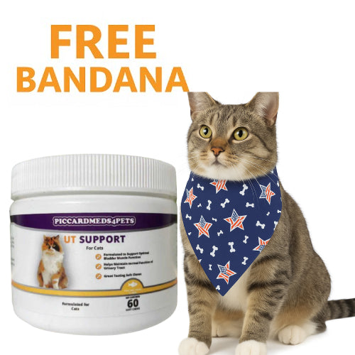 Piccardmeds4pets Pee-Well Urinary Support Soft Chews for Cats 60CT + FREE Bandana!
