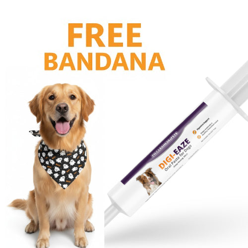 Piccardmeds4pets Digi-Eaze Probiotic Paste for Dogs Easy Dosing 30cc + FREE Bandana!