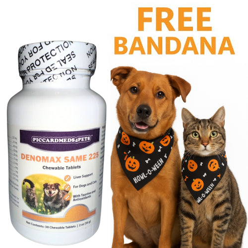 Bottle of Denomax Same 225 chewable tablets with a dog and cat wearing Halloween bandanas, and text 'Free Bandana' on a white background.