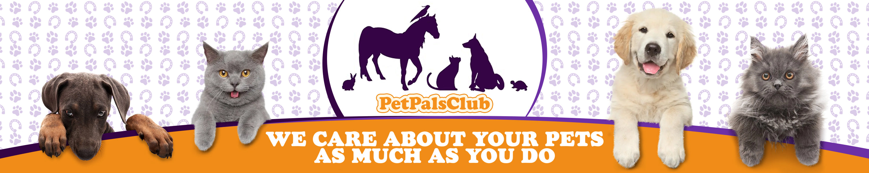 Pet Pais Club banner with dogs, cats, and a horse illustration on a patterned background.