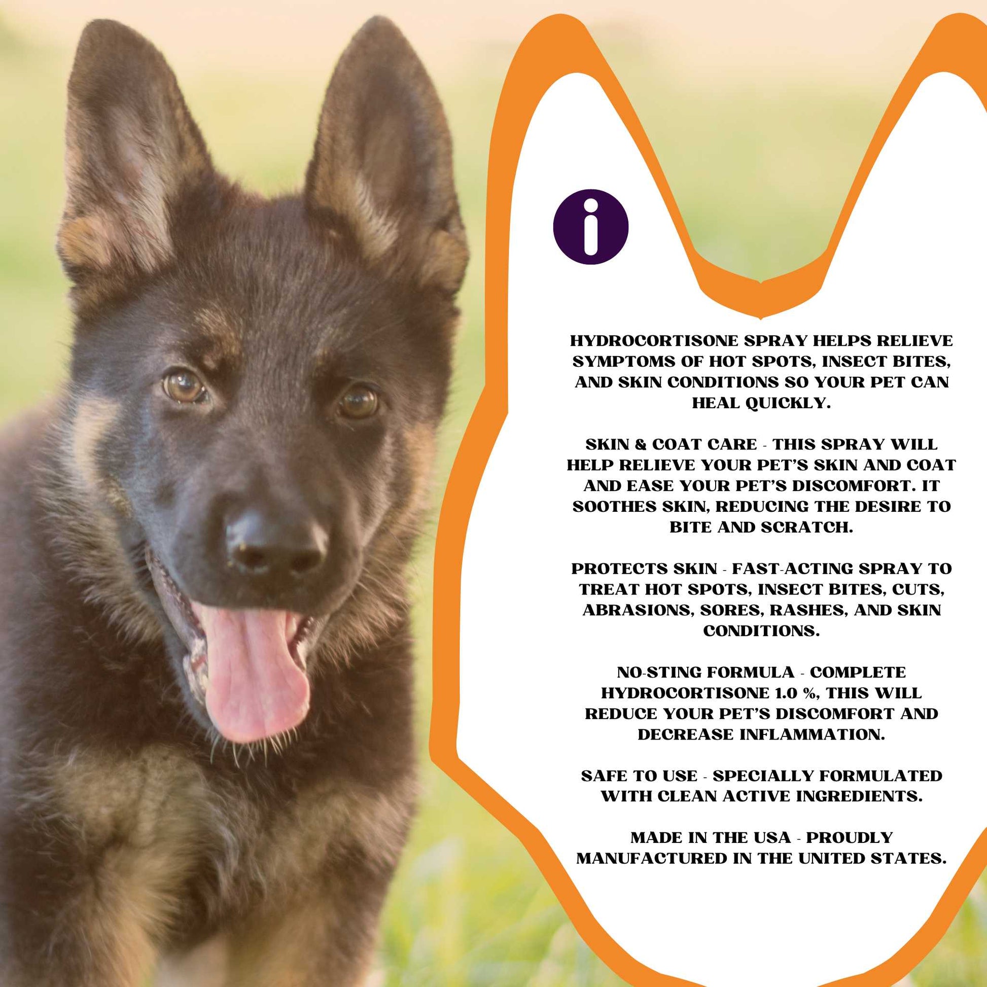 Piccardmeds4pets Hydro-Itch Spray 1.0 % for Dogs Cats & Horses 4oz. Piccard Meds 4 Pets