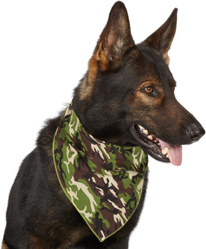 Piccardmeds4pets Keto-Itch Plus Antiseptic Mousse for Cats & Dogs 7 oz. + FREE Bandana!