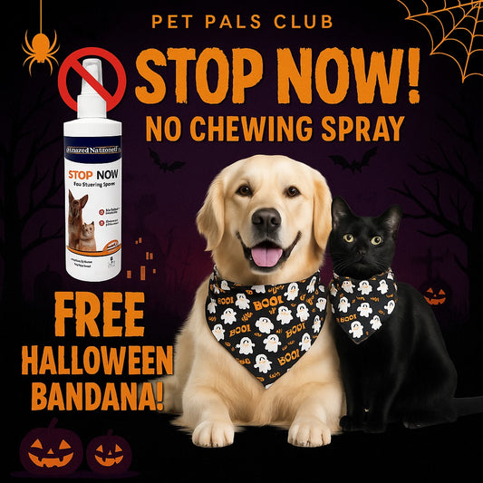 PiccardNaturePets Stop Now! No Chewing Pet Training Spray 8 oz. + FREE Glow in the Dark Bandana!
