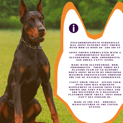 Dog on grass with product information overlay