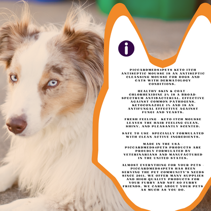 Dog with product information overlay on a white background