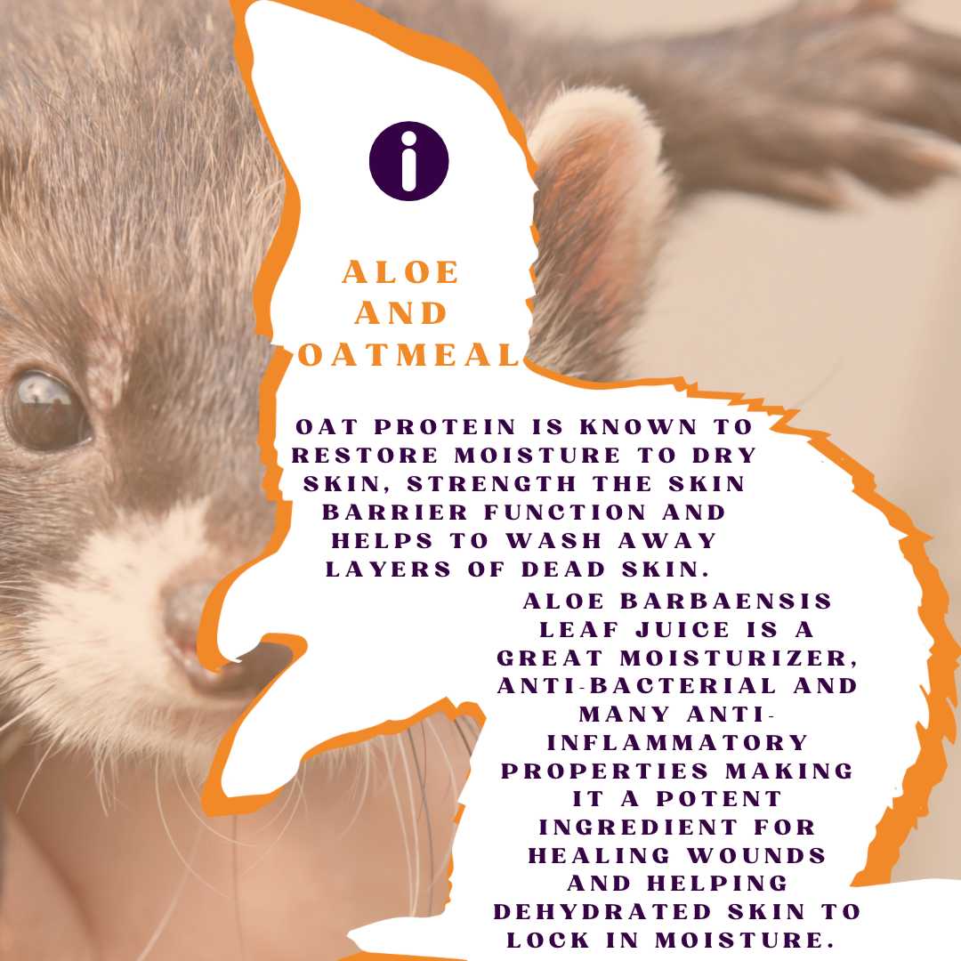 Piccardmeds4pets Ferret Aloe Oats Shampoo 12oz + HandsOn Grooming Gloves Small Combo