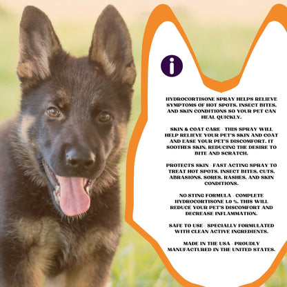 Piccardmeds4pets Hydro-Itch Spray 1.0 % for Dogs Cats & Horses 4oz. Piccard Meds 4 Pets